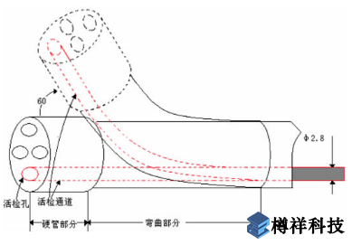 內(nèi)窺鏡管端部結構示意圖